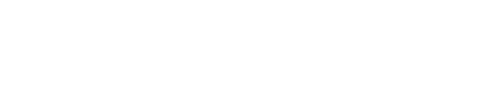 DENISERODRI logo